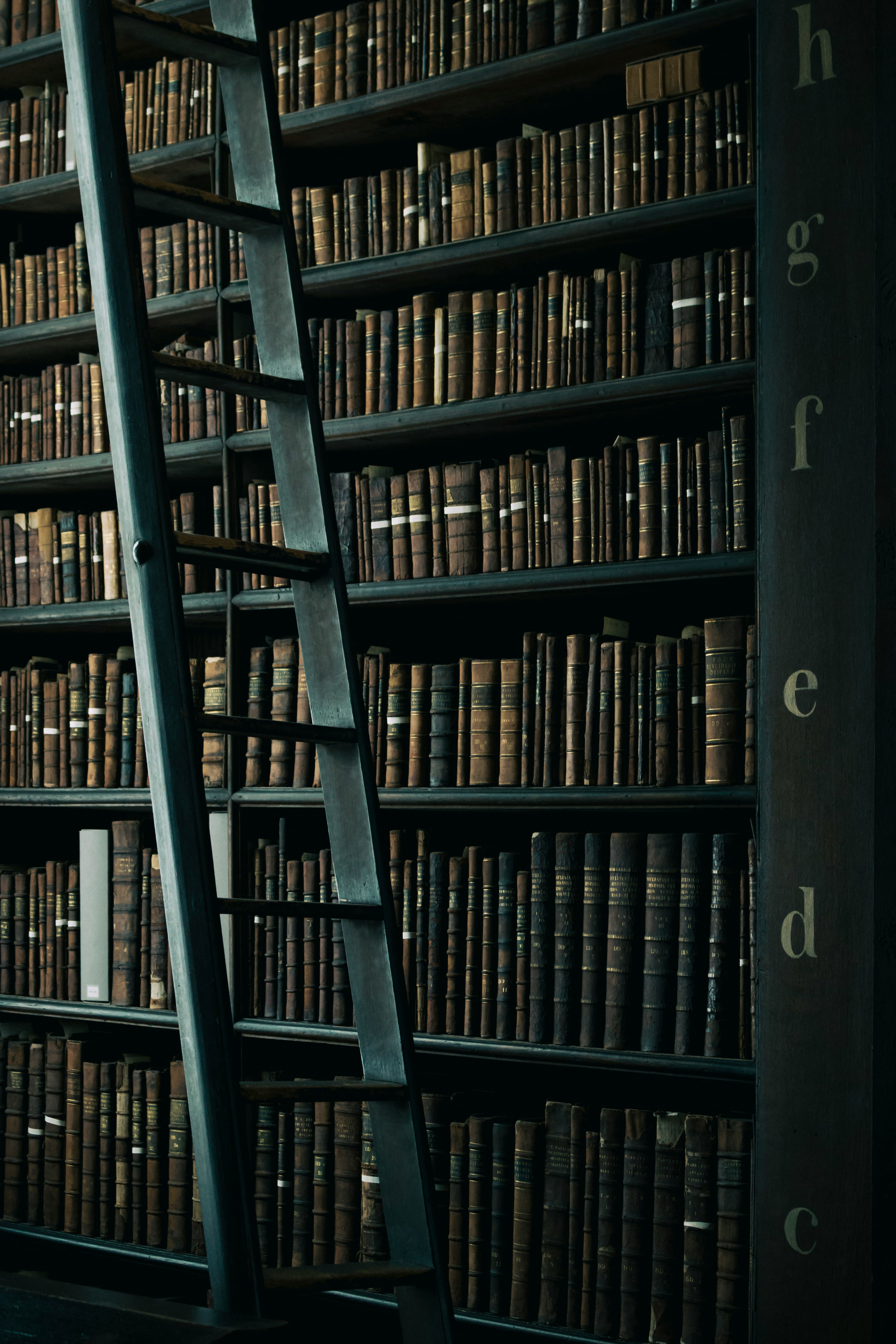 Library shelves